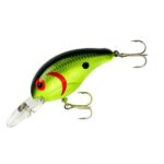 Chartreuse Black Back Scales