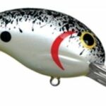 Splatterback