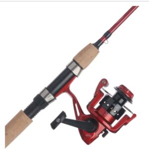 Cherrywood HD Spinning Combo