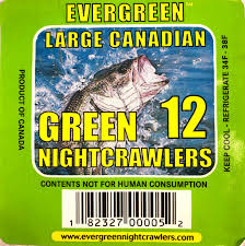 Canadian Nightcrawler