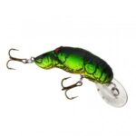 1-1/2", Firetiger