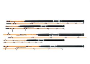 Boat Spinning Rod