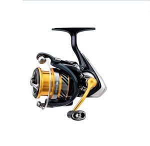 Revros LT Spinning Reel