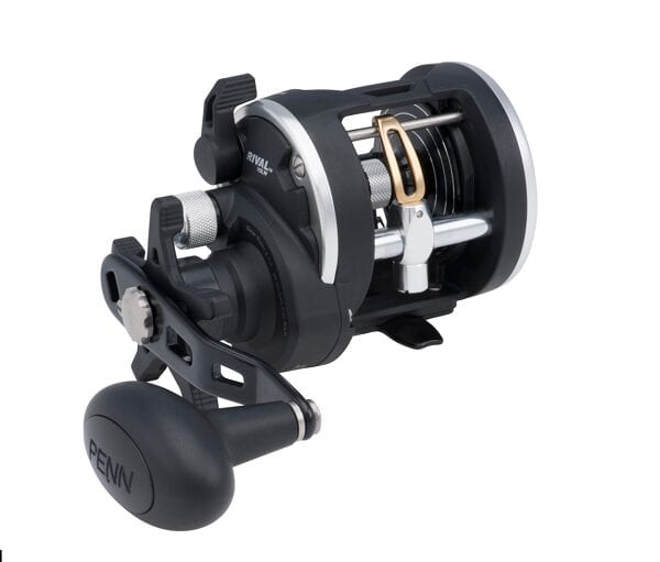 Rival 30 Level Wind Reel