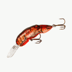 2-5/8", Cajun Crawfish
