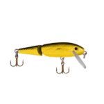 1-7/8", Gold/Black