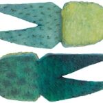 Green Spot, 2.5x1", 3 PK