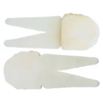 White, 2.5x1", 3 PK