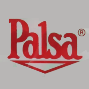 Palsa