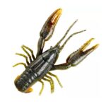 2.5", Crawdad