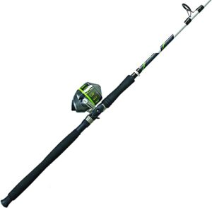 Big Cat SpinCast Combo