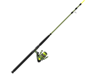 Big Cat Spinning Combo