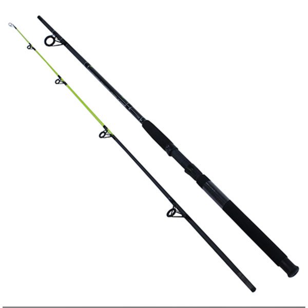 Big Cat Spinning Rod