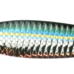 8", 3.5 oz, Blueback HD