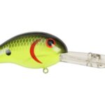 Chartreuse Black Back Scales