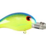 Chartreuse Blue Back