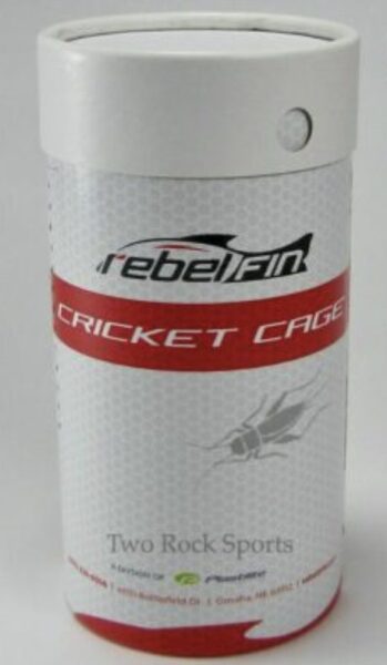 Cricket Cup