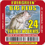 Red Wigglers “Big Reds”