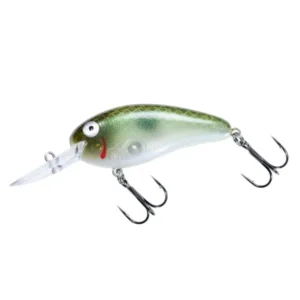 Flat A Crankbait