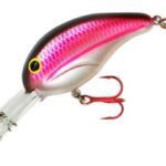 Grenada Shad