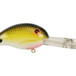 Tennessee Shad