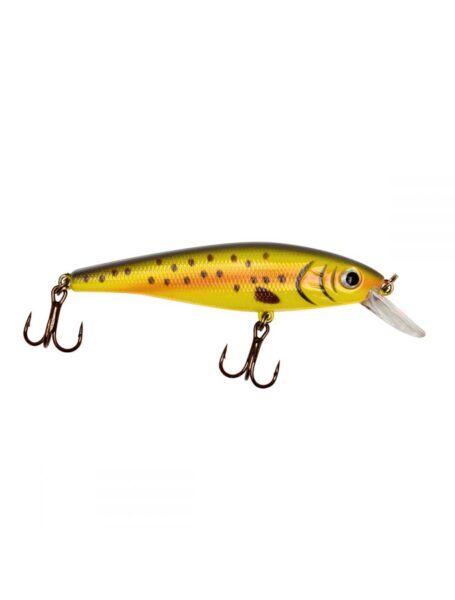 Crankbait