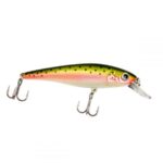 2.5", Rainbow