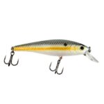 3.5", Brook Trout
