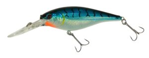 Flicker Shad