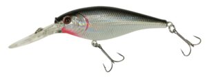 Flicker Shad