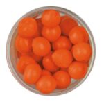 Garlic, Fluorescent Orange