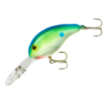 Citrus Shad