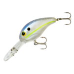 Chartreuse Shad