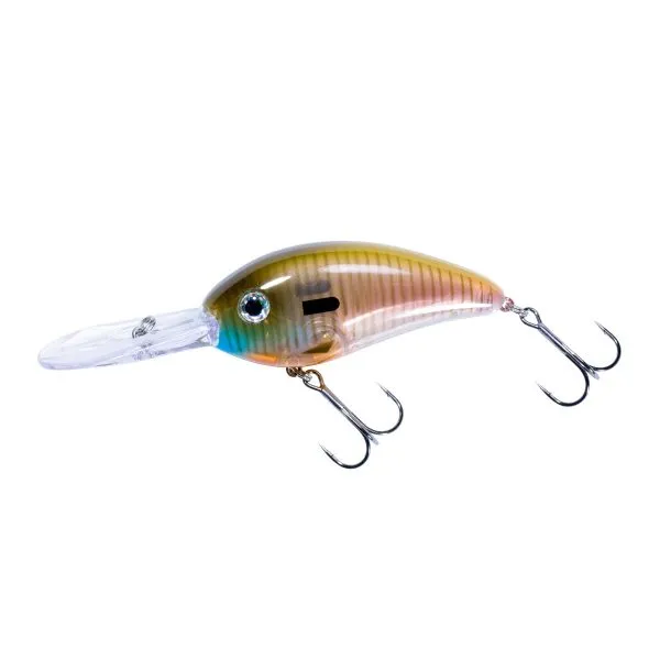 Fat Free Shad