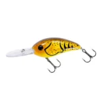 3", Muddy Craw