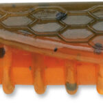 3", Bama Craw