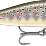 2-1/4", 3/16 oz, Gilded Brown Trout