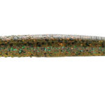 2.75", New Money, 8 Ct