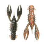 2.5", Molting Craw, 6 Ct