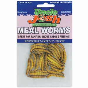 Mealworms