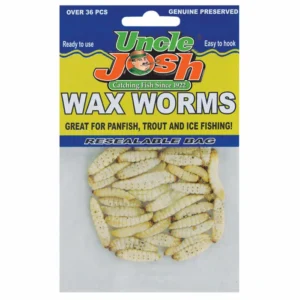 Wax Worms
