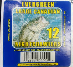Evergreen Nightcrawlers