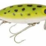 2", Frog White Belly